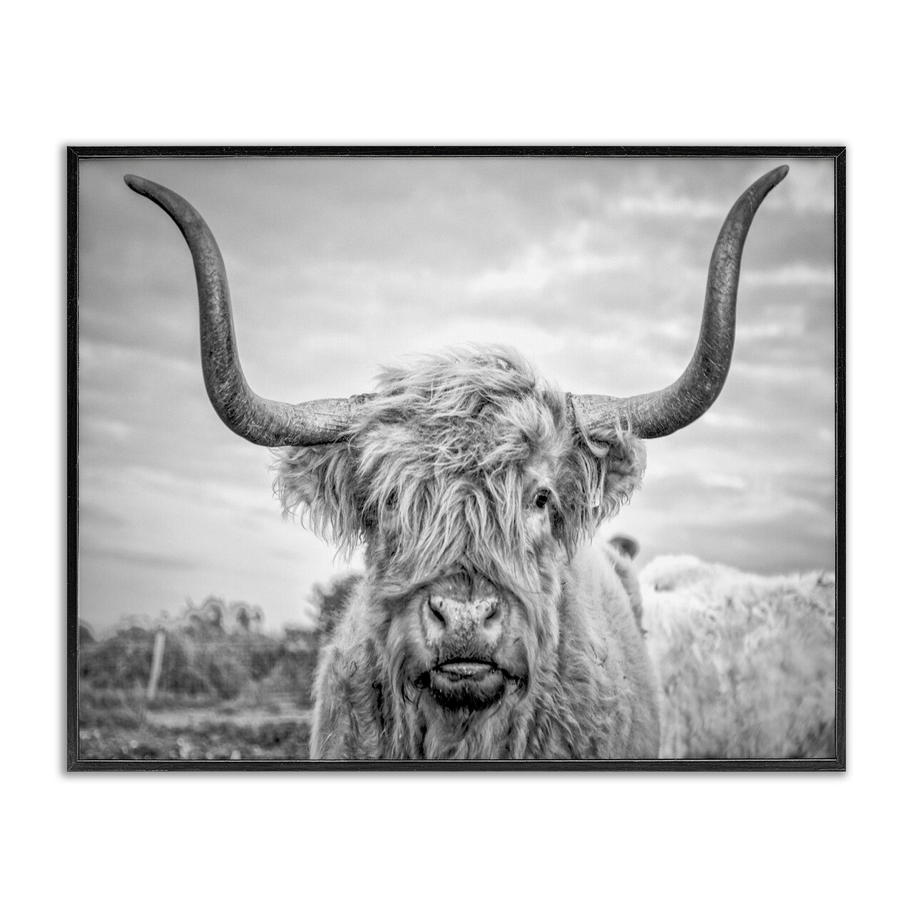 Stupell Industries Grey Highland Cow Photograph Framed Giclee Art